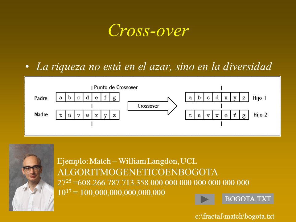 Cross-over La riqueza no está en el azar, sino en la diversidad