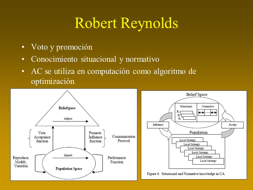 Robert Reynolds Voto y promoción Conocimiento situacional y normativo