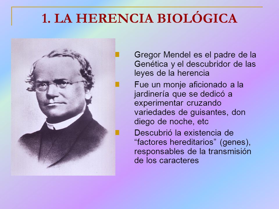1. LA HERENCIA BIOLÓGICA Gregor Mendel es el padre de la Genética y el descubridor de las leyes de la herencia.