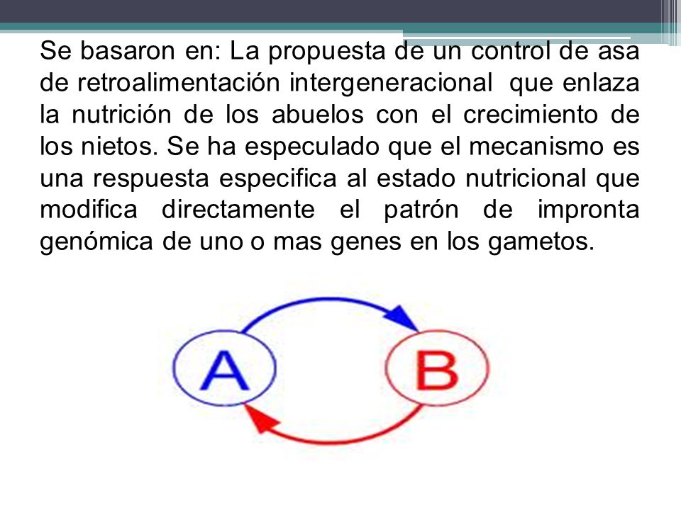 Se basaron en: La propuesta de un control de asa de retroalimentación intergeneracional que enlaza la nutrición de los abuelos con el crecimiento de los nietos.