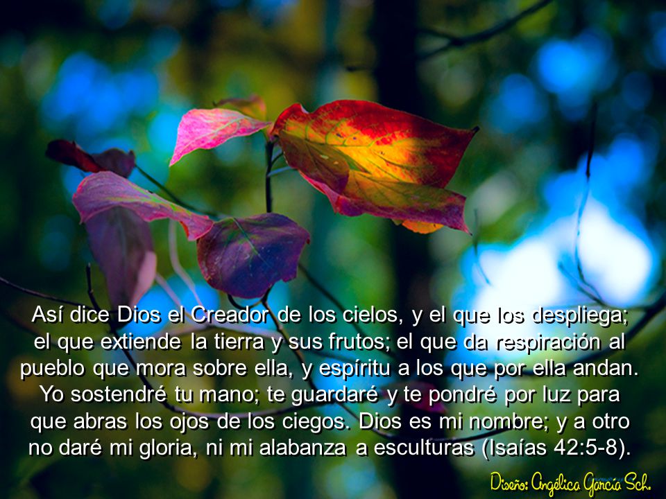 Así dice Dios el Creador de los cielos, y el que los despliega; el que extiende la tierra y sus frutos; el que da respiración al pueblo que mora sobre ella, y espíritu a los que por ella andan.
