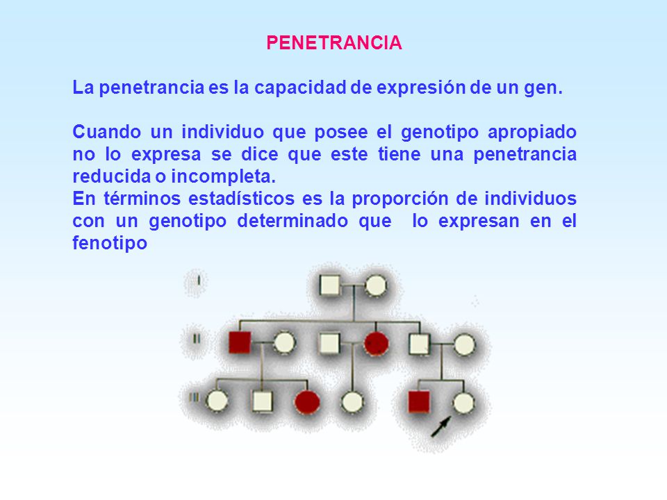 PENETRANCIA La penetrancia es la capacidad de expresión de un gen.