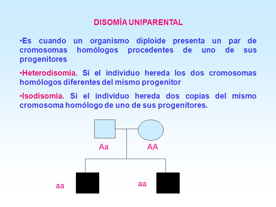 DISOMÍA UNIPARENTAL Es cuando un organismo diploide presenta un par de cromosomas homólogos procedentes de uno de sus progenitores.
