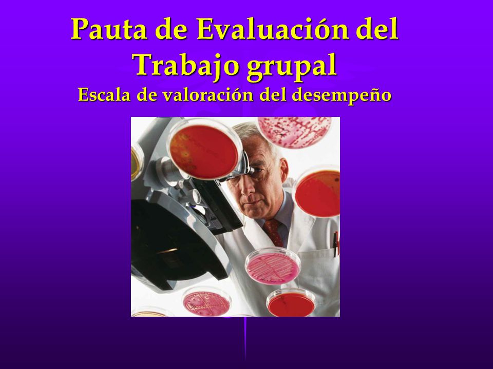 Pauta de Evaluación del Trabajo grupal Escala de valoración del desempeño