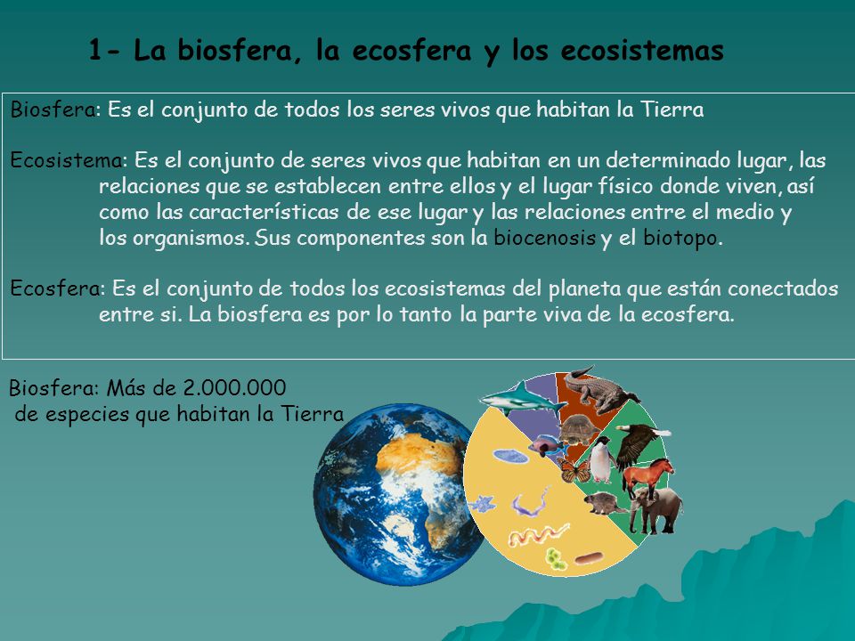 1- La biosfera, la ecosfera y los ecosistemas