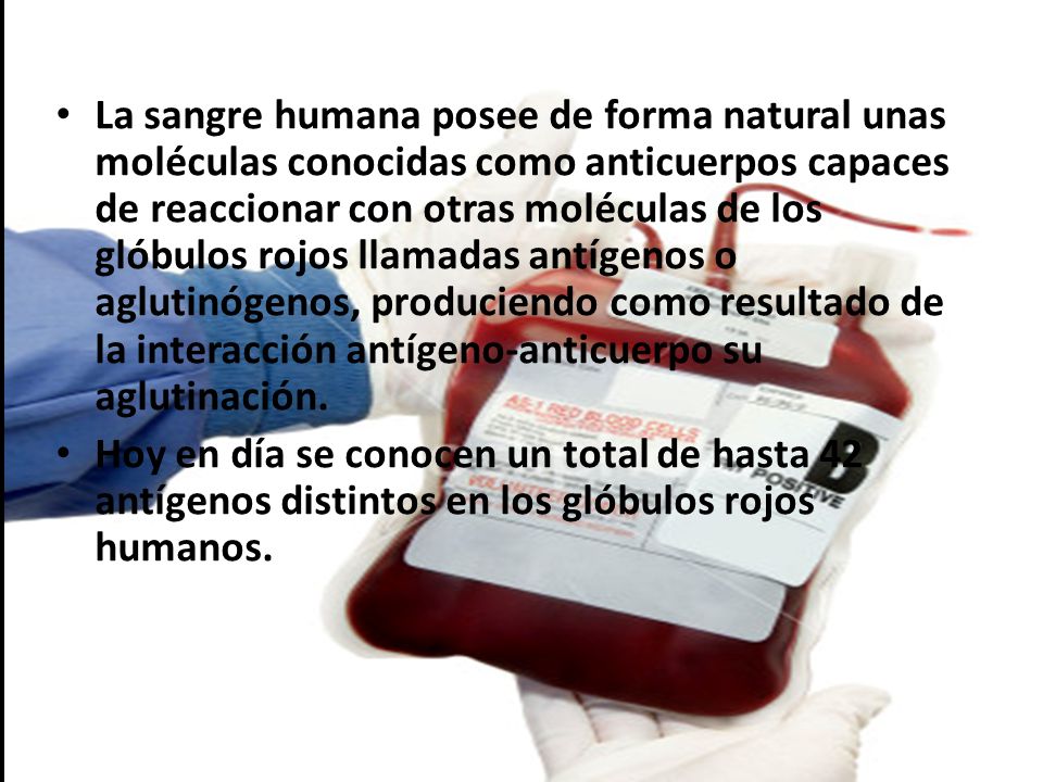 La sangre humana posee de forma natural unas moléculas conocidas como anticuerpos capaces de reaccionar con otras moléculas de los glóbulos rojos llamadas antígenos o aglutinógenos, produciendo como resultado de la interacción antígeno-anticuerpo su aglutinación.