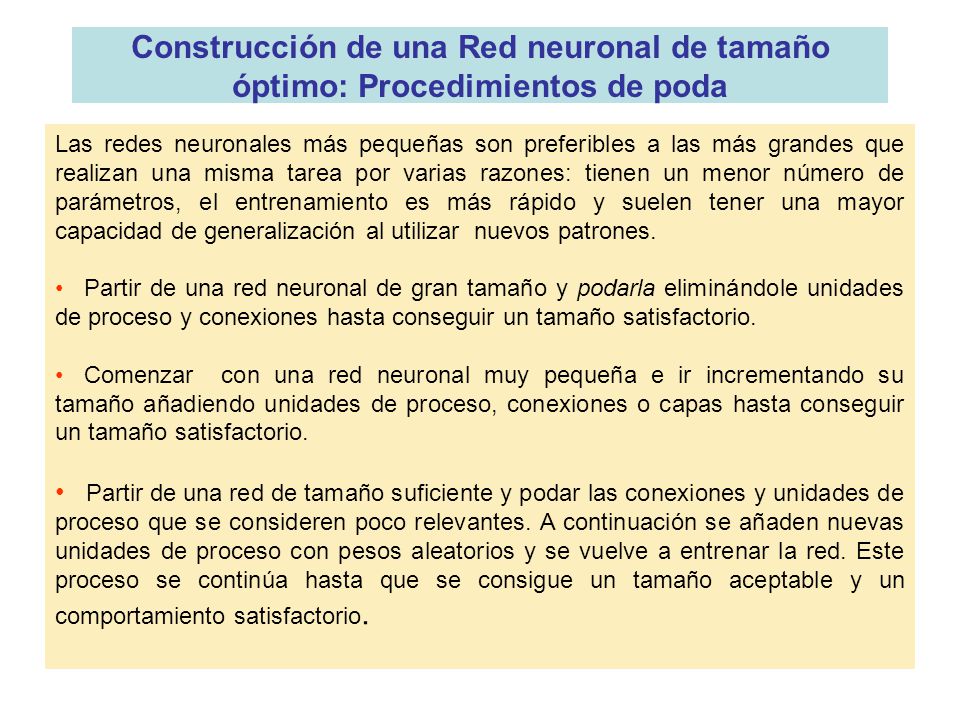 Construcción de una Red neuronal de tamaño óptimo: Procedimientos de poda