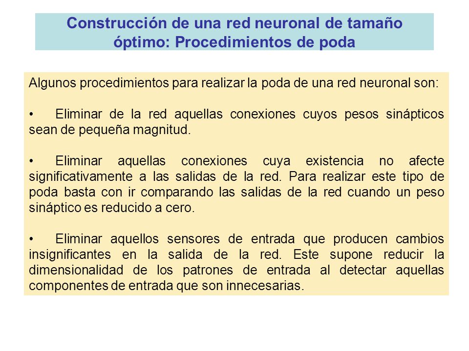 Construcción de una red neuronal de tamaño óptimo: Procedimientos de poda