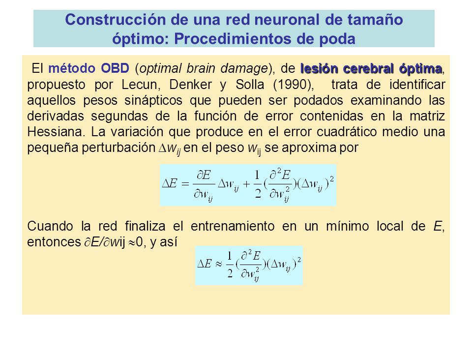 Construcción de una red neuronal de tamaño óptimo: Procedimientos de poda