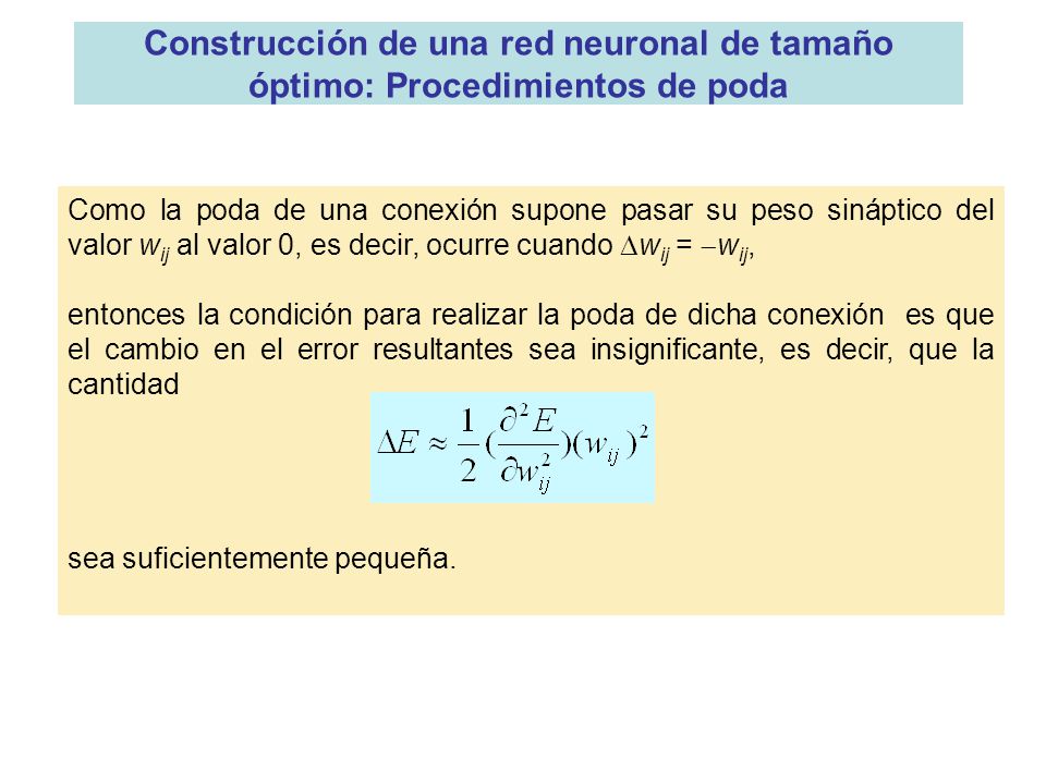 Construcción de una red neuronal de tamaño óptimo: Procedimientos de poda