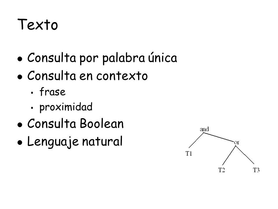 Texto Consulta por palabra única Consulta en contexto Consulta Boolean
