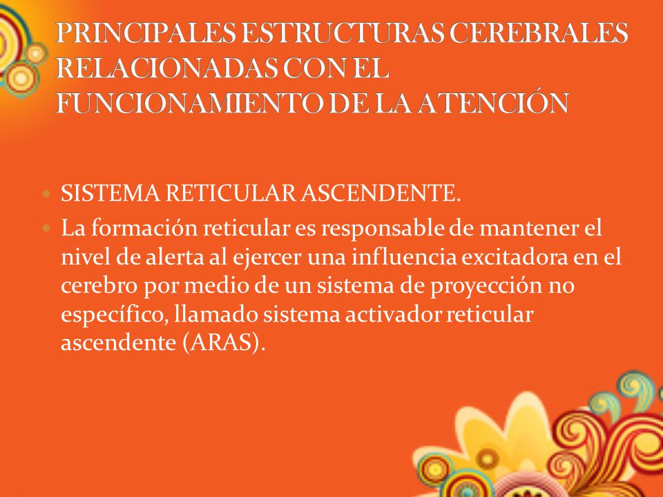PRINCIPALES ESTRUCTURAS CEREBRALES RELACIONADAS CON EL FUNCIONAMIENTO DE LA ATENCIÓN