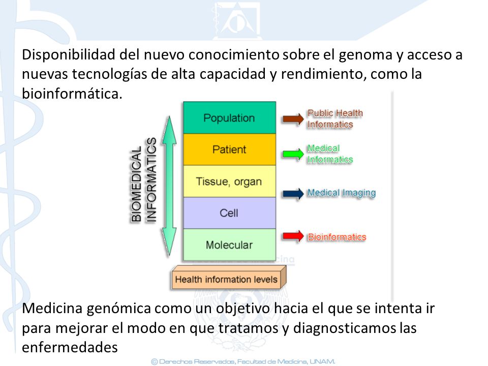Disponibilidad del nuevo conocimiento sobre el genoma y acceso a nuevas tecnologías de alta capacidad y rendimiento, como la bioinformática.