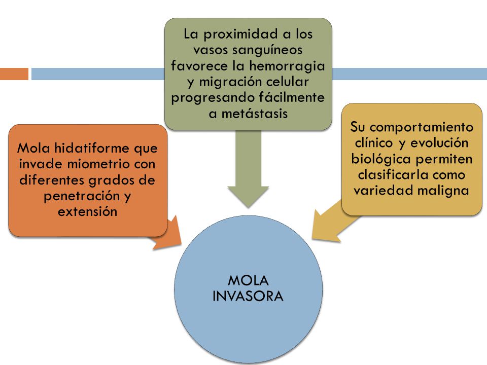 MOLA INVASORA Mola hidatiforme que invade miometrio con diferentes grados de penetración y extensión.