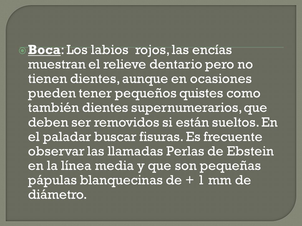Boca: Los labios rojos, las encías muestran el relieve dentario pero no tienen dientes, aunque en ocasiones pueden tener pequeños quistes como también dientes supernumerarios, que deben ser removidos si están sueltos.
