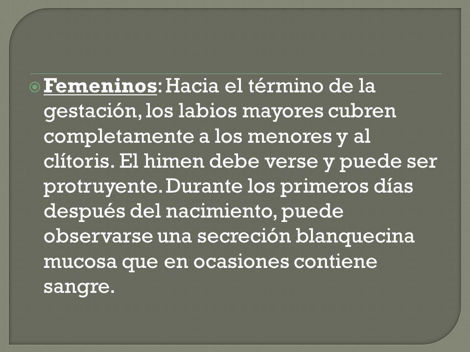 Femeninos: Hacia el término de la gestación, los labios mayores cubren completamente a los menores y al clítoris.