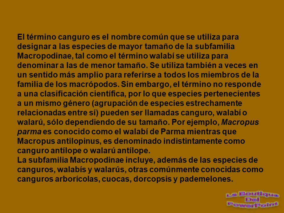 El término canguro es el nombre común que se utiliza para designar a las especies de mayor tamaño de la subfamilia Macropodinae, tal como el término walabí se utiliza para denominar a las de menor tamaño. Se utiliza también a veces en un sentido más amplio para referirse a todos los miembros de la familia de los macrópodos. Sin embargo, el término no responde a una clasificación científica, por lo que especies pertenecientes a un mismo género (agrupación de especies estrechamente relacionadas entre sí) pueden ser llamadas canguro, walabí o walarú, sólo dependiendo de su tamaño. Por ejemplo, Macropus parma es conocido como el walabí de Parma mientras que Macropus antilopinus, es denominado indistintamente como canguro antílope o walarú antílope.