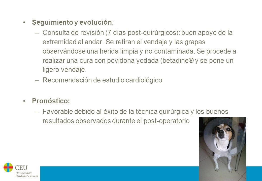 Seguimiento y evolución: