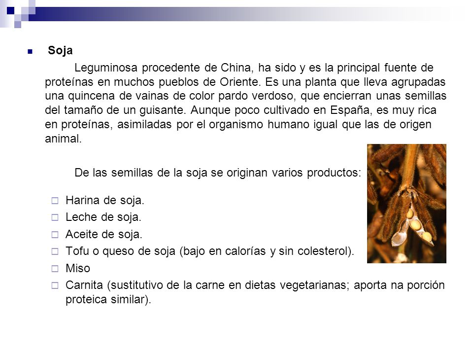 De las semillas de la soja se originan varios productos: