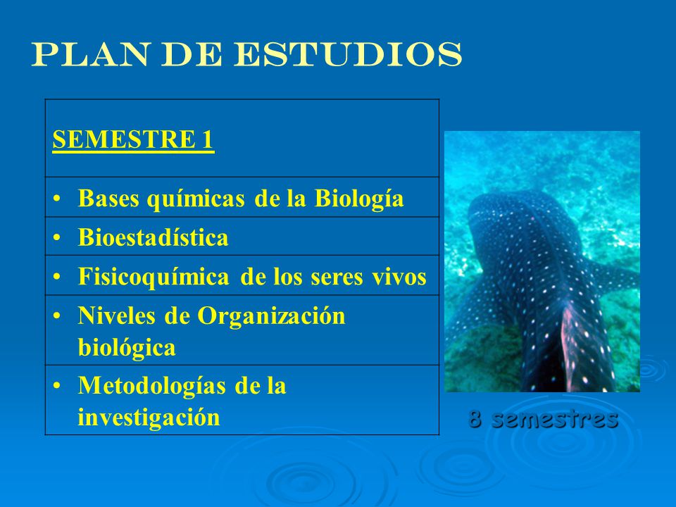 PLAN DE ESTUDIOS SEMESTRE 1 Bases químicas de la Biología