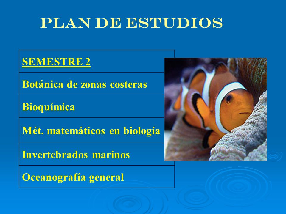 PLAN DE ESTUDIOS SEMESTRE 2 Botánica de zonas costeras Bioquímica