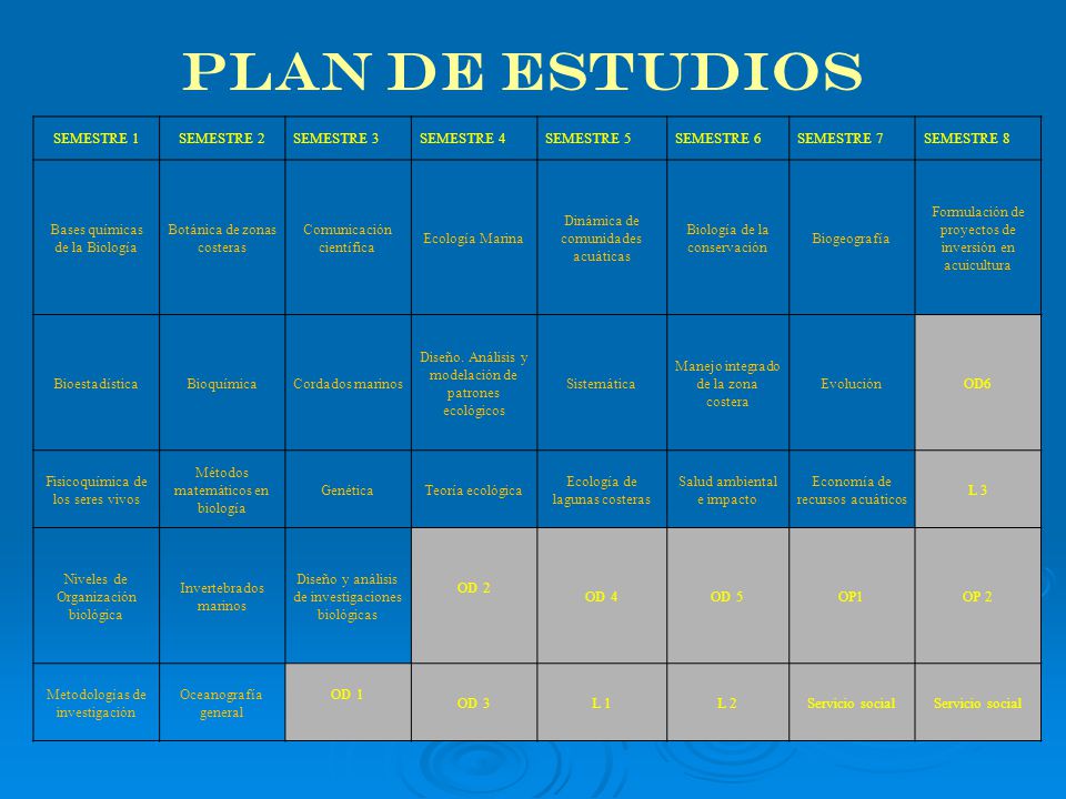 PLAN DE ESTUDIOS SEMESTRE 1 SEMESTRE 2 SEMESTRE 3 SEMESTRE 4