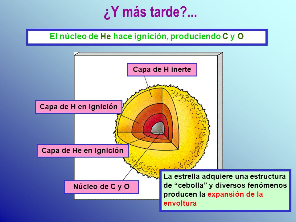El núcleo de He hace ignición, produciendo C y O