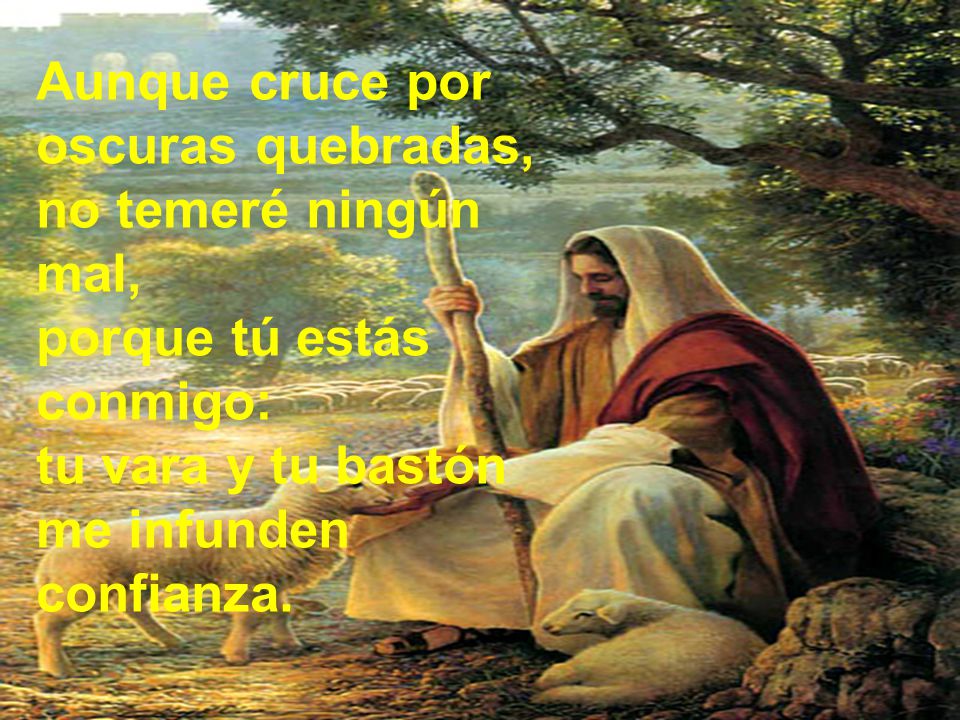 Aunque cruce por oscuras quebradas, no temeré ningún mal, porque tú estás conmigo: tu vara y tu bastón me infunden confianza.