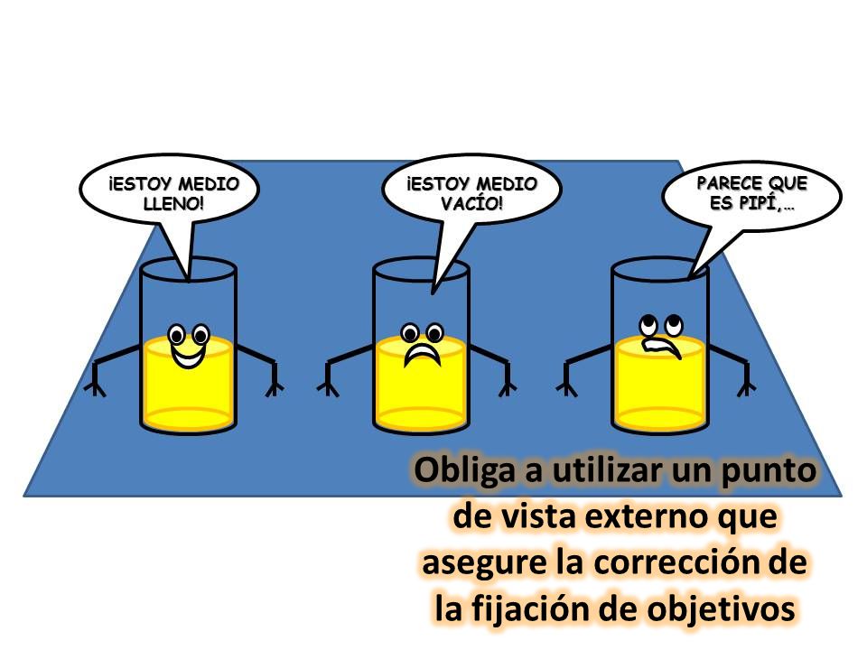 Obliga a utilizar un punto de vista externo que asegure la corrección de la fijación de objetivos