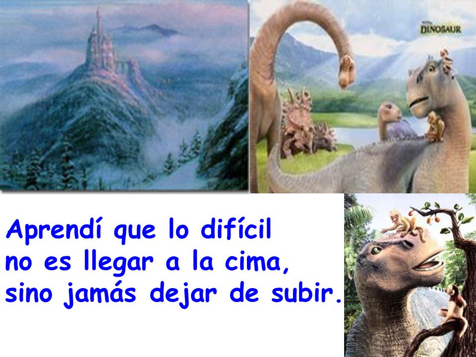 Aprendí que lo difícil no es llegar a la cima, sino jamás dejar de subir.