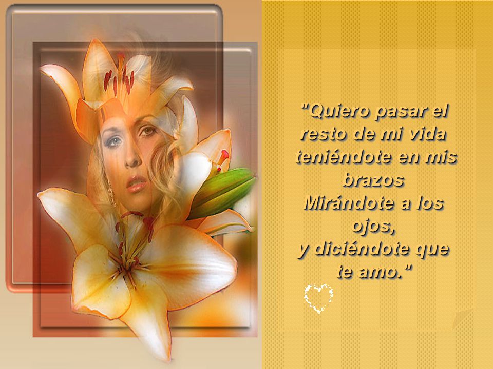 Quiero pasar el resto de mi vida teniéndote en mis brazos Mirándote a los ojos, y diciéndote que te amo.