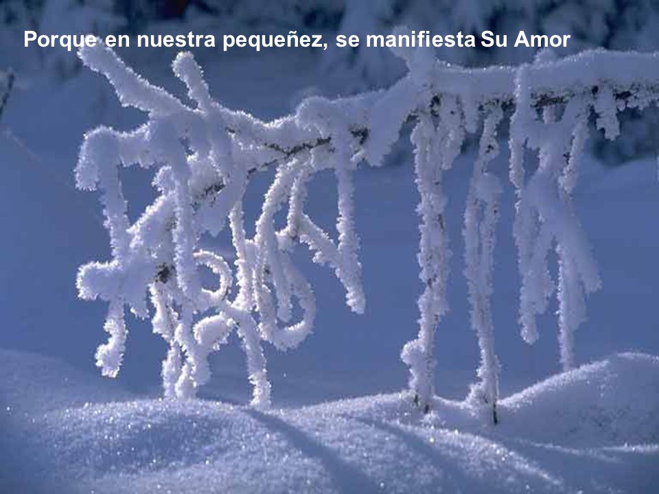 Porque en nuestra pequeñez, se manifiesta Su Amor