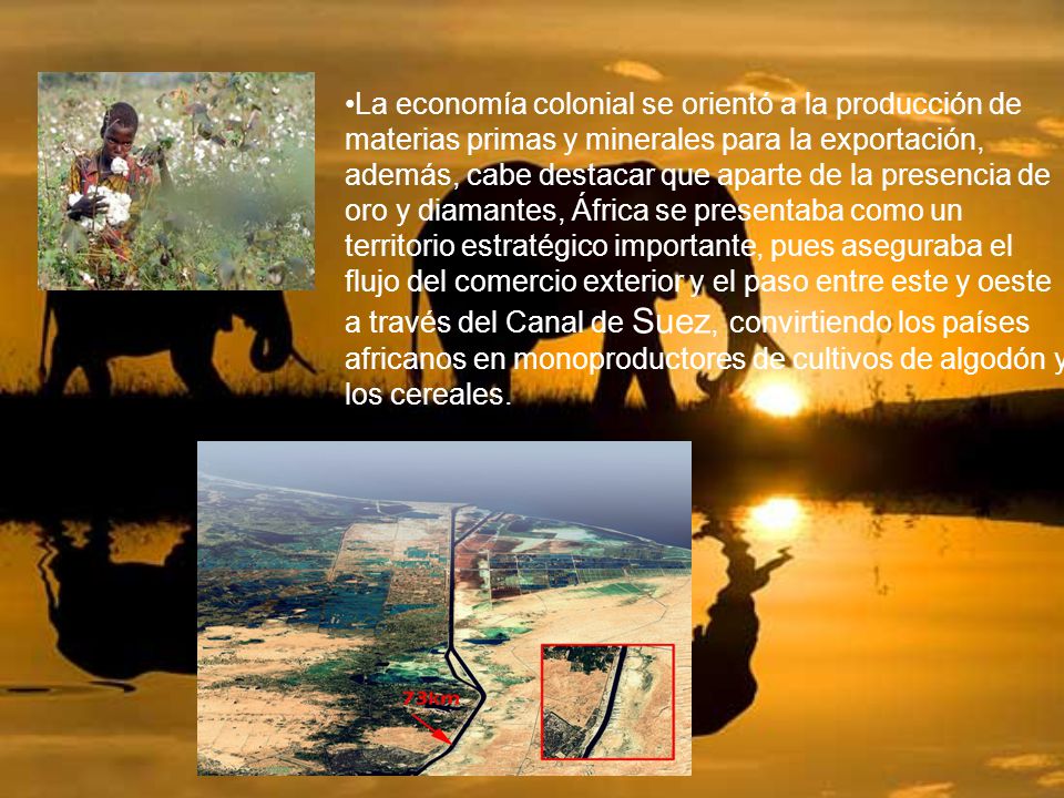La economía colonial se orientó a la producción de materias primas y minerales para la exportación, además, cabe destacar que aparte de la presencia de oro y diamantes, África se presentaba como un territorio estratégico importante, pues aseguraba el flujo del comercio exterior y el paso entre este y oeste a través del Canal de Suez, convirtiendo los países africanos en monoproductores de cultivos de algodón y los cereales.