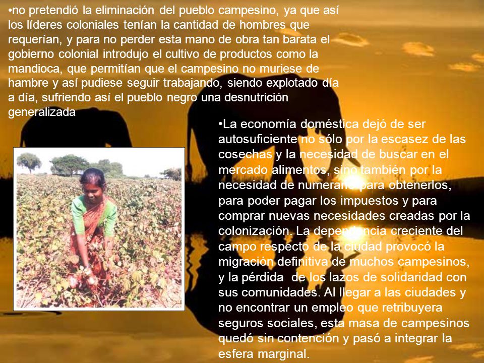 no pretendió la eliminación del pueblo campesino, ya que así los líderes coloniales tenían la cantidad de hombres que requerían, y para no perder esta mano de obra tan barata el gobierno colonial introdujo el cultivo de productos como la mandioca, que permitían que el campesino no muriese de hambre y así pudiese seguir trabajando, siendo explotado día a día, sufriendo así el pueblo negro una desnutrición generalizada