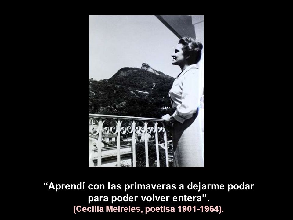 Aprendí con las primaveras a dejarme podar para poder volver entera .