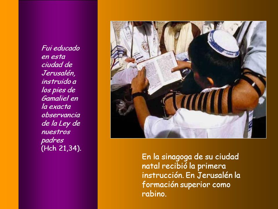 Fui educado en esta ciudad de Jerusalén, instruido a los pies de Gamaliel en la exacta observancia de la Ley de nuestros padres (Hch 21,34).