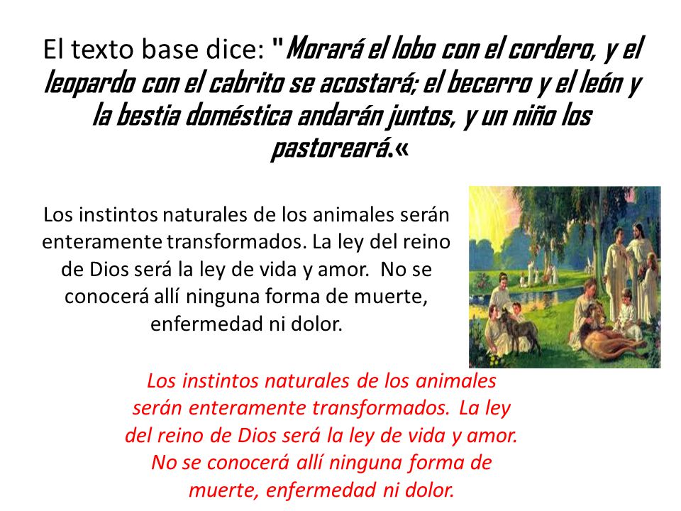El texto base dice: Morará el lobo con el cordero, y el leopardo con el cabrito se acostará; el becerro y el león y la bestia doméstica andarán juntos, y un niño los pastoreará.«