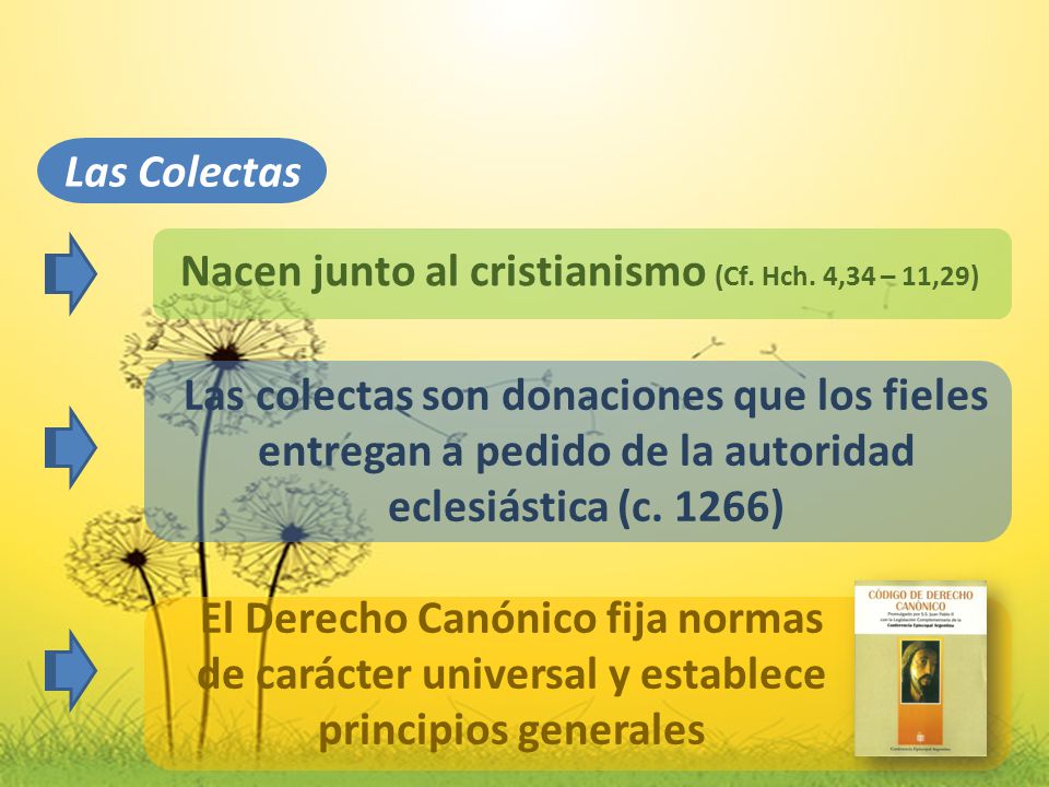 Las Colectas Nacen junto al cristianismo (Cf. Hch. 4,34 – 11,29)