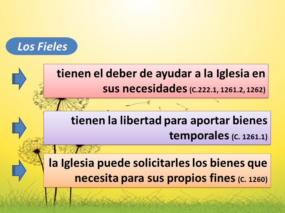 Los Fieles tienen el deber de ayudar a la Iglesia en sus necesidades (C.222.1, , 1262)