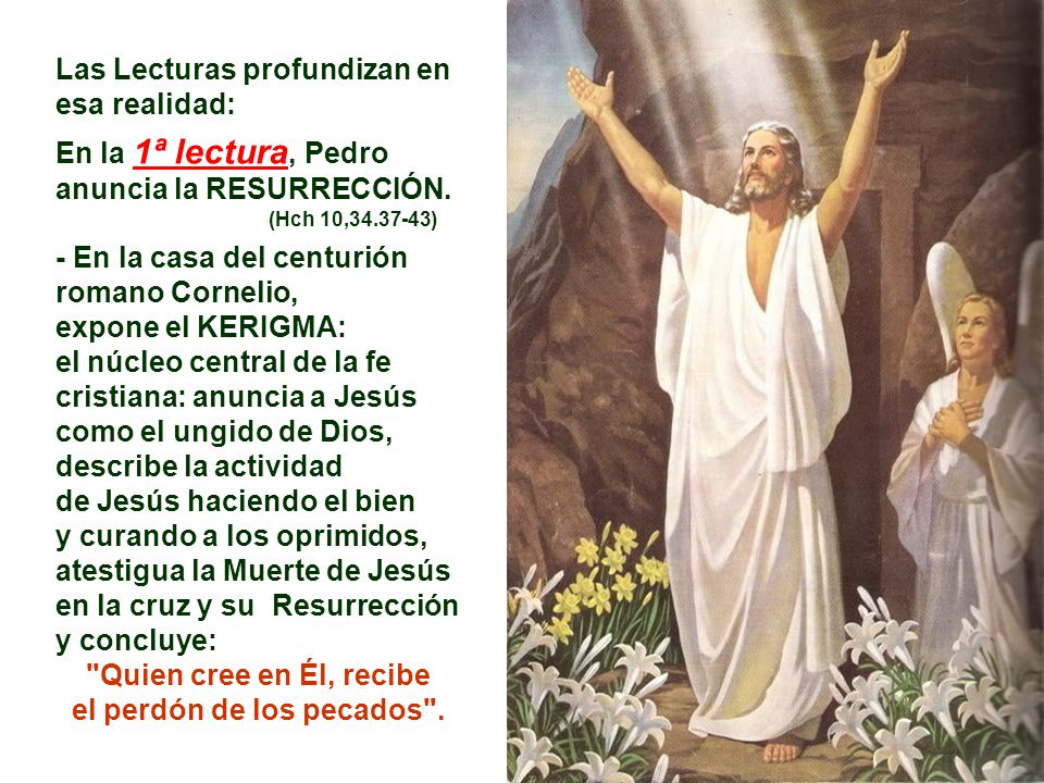Quien cree en Él, recibe el perdón de los pecados .
