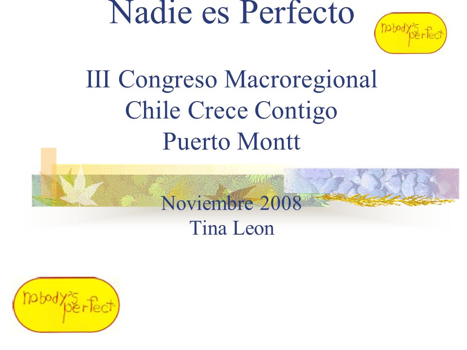Nadie es Perfecto III Congreso Macroregional Chile Crece Contigo Puerto Montt Noviembre 2008 Tina Leon