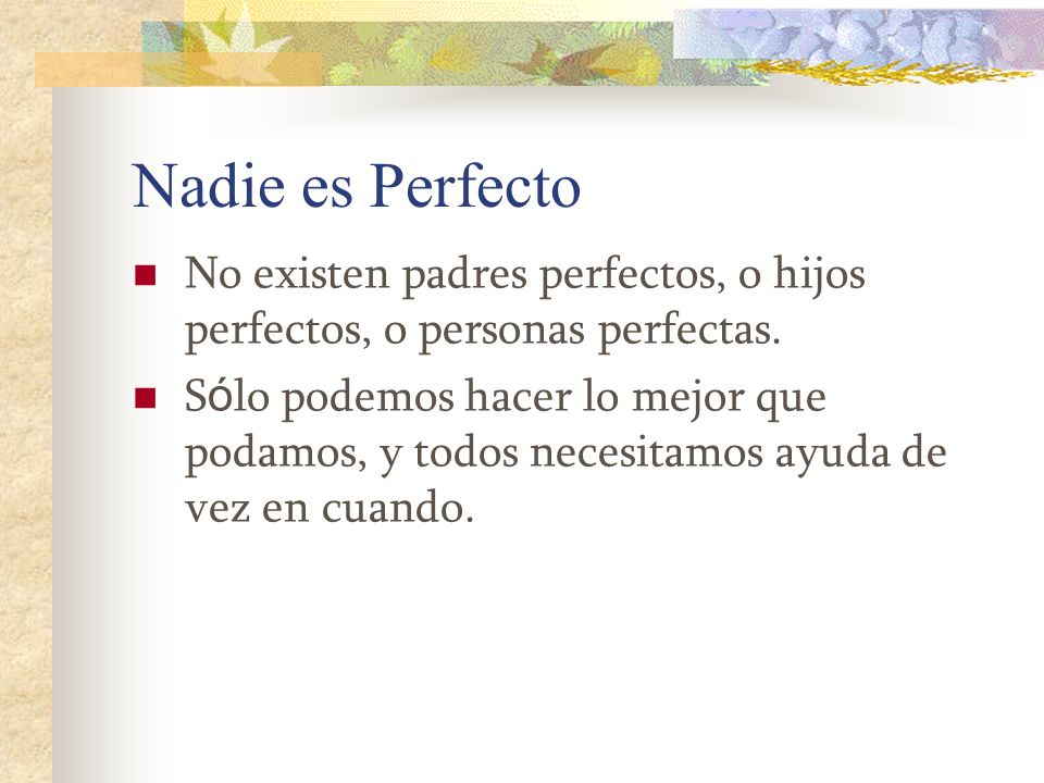 Nadie es Perfecto No existen padres perfectos, o hijos perfectos, o personas perfectas.