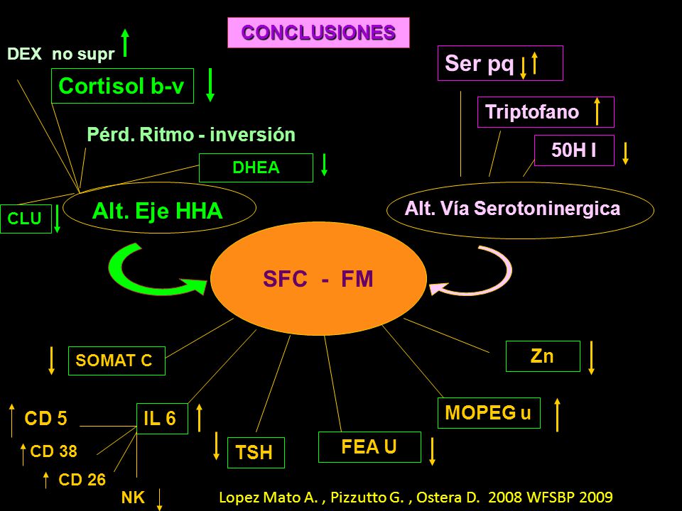 Ser pq Cortisol b-v Alt. Eje HHA SFC - FM CONCLUSIONES Triptofano
