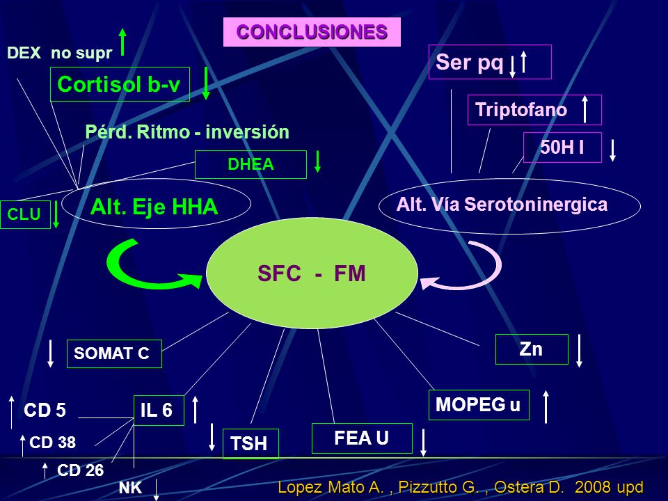 Ser pq Cortisol b-v Alt. Eje HHA SFC - FM CONCLUSIONES Triptofano
