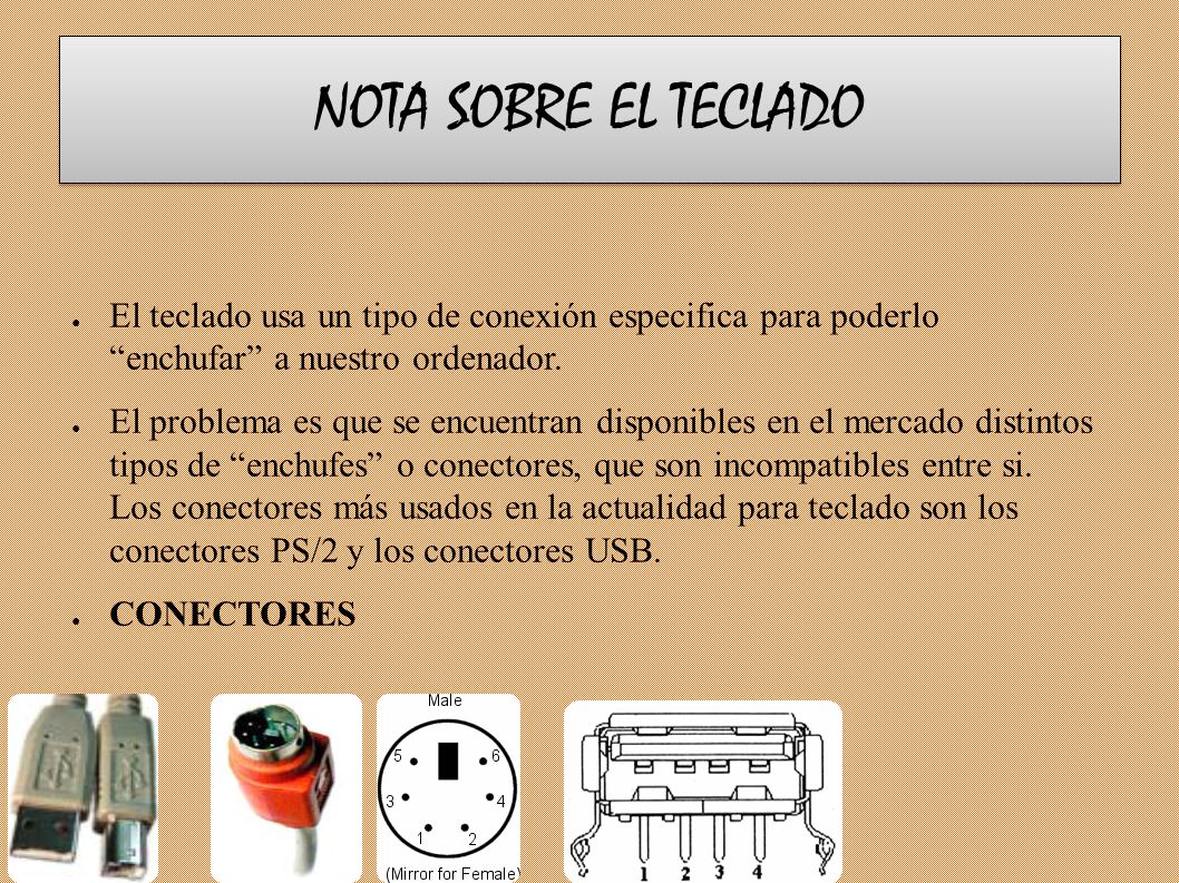 NOTA SOBRE EL TECLADO El teclado usa un tipo de conexión especifica para poderlo enchufar a nuestro ordenador.