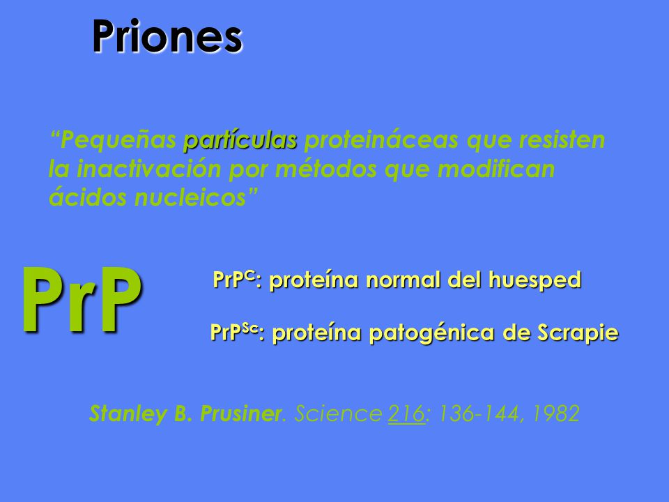 Priones Pequeñas partículas proteináceas que resisten la inactivación por métodos que modifican ácidos nucleicos
