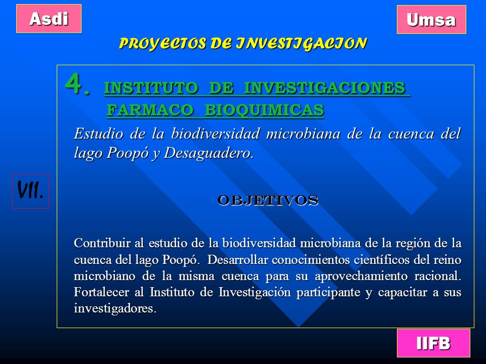 PROYECTOS DE INVESTIGACION
