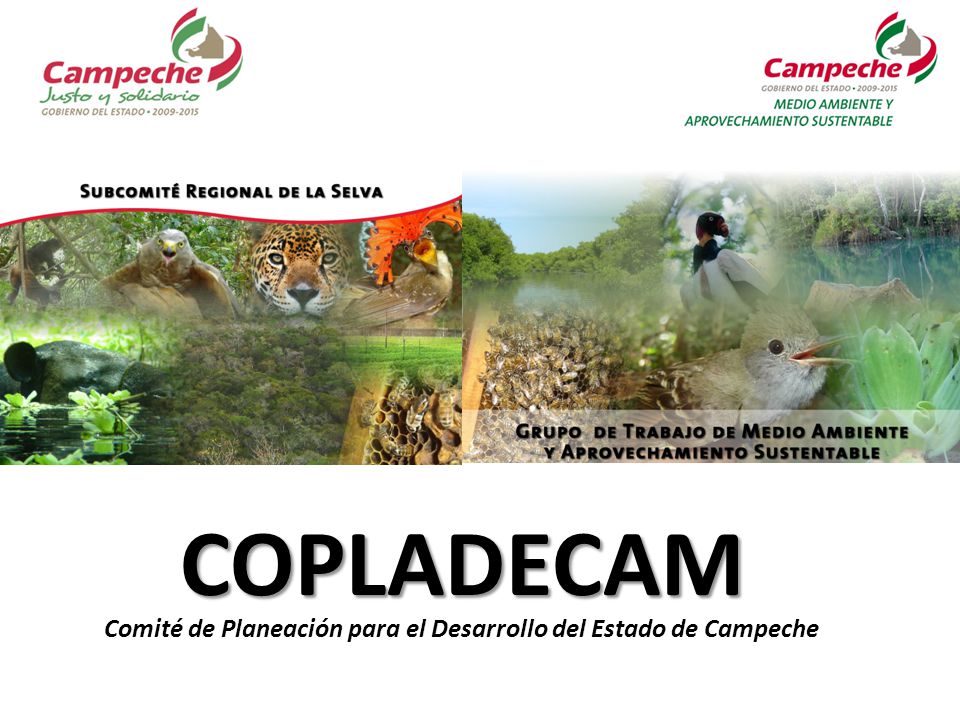 COPLADECAM Comité de Planeación para el Desarrollo del Estado de Campeche