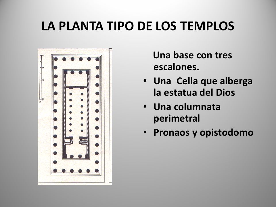 LA PLANTA TIPO DE LOS TEMPLOS
