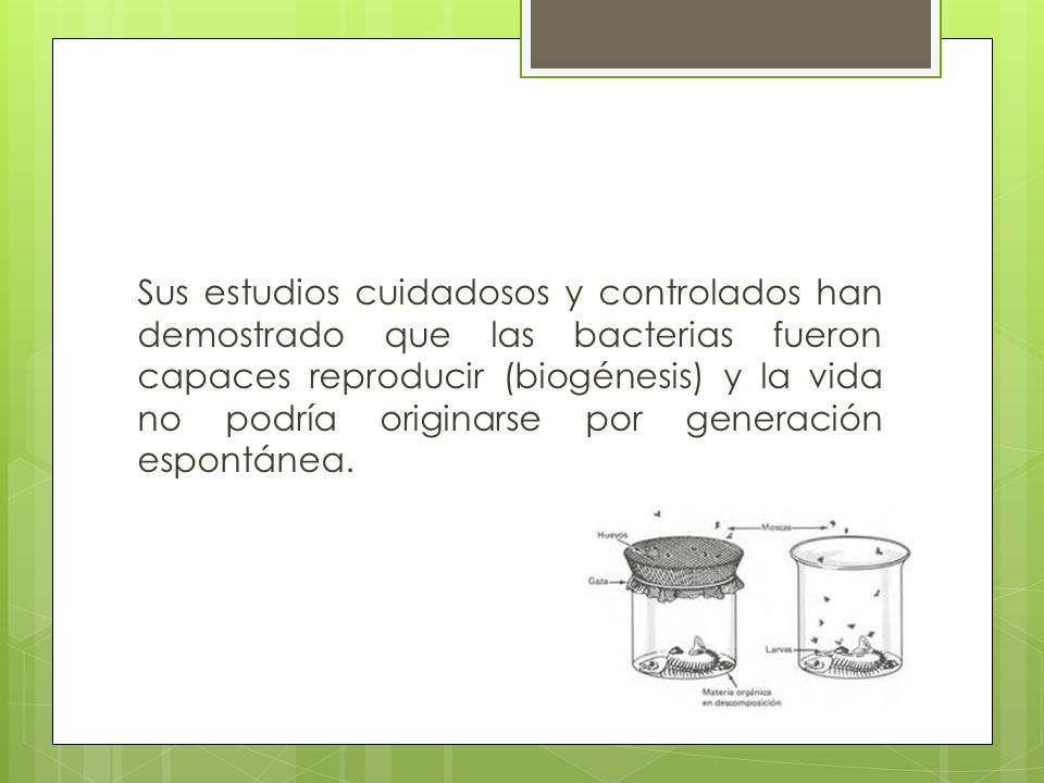 Sus estudios cuidadosos y controlados han demostrado que las bacterias fueron capaces reproducir (biogénesis) y la vida no podría originarse por generación espontánea.